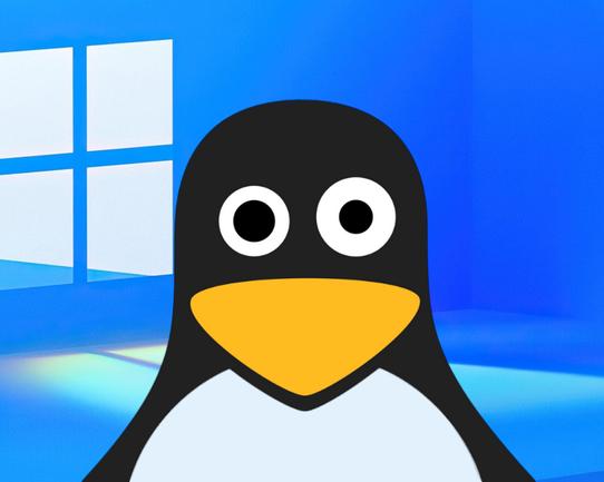 Пять причин перейти с Windows 11 на Linux Mint
